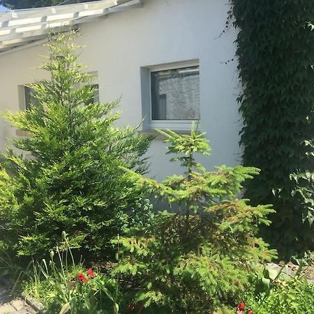 Kleines Haeuschen Am Garten In دارمشتاد المظهر الخارجي الصورة